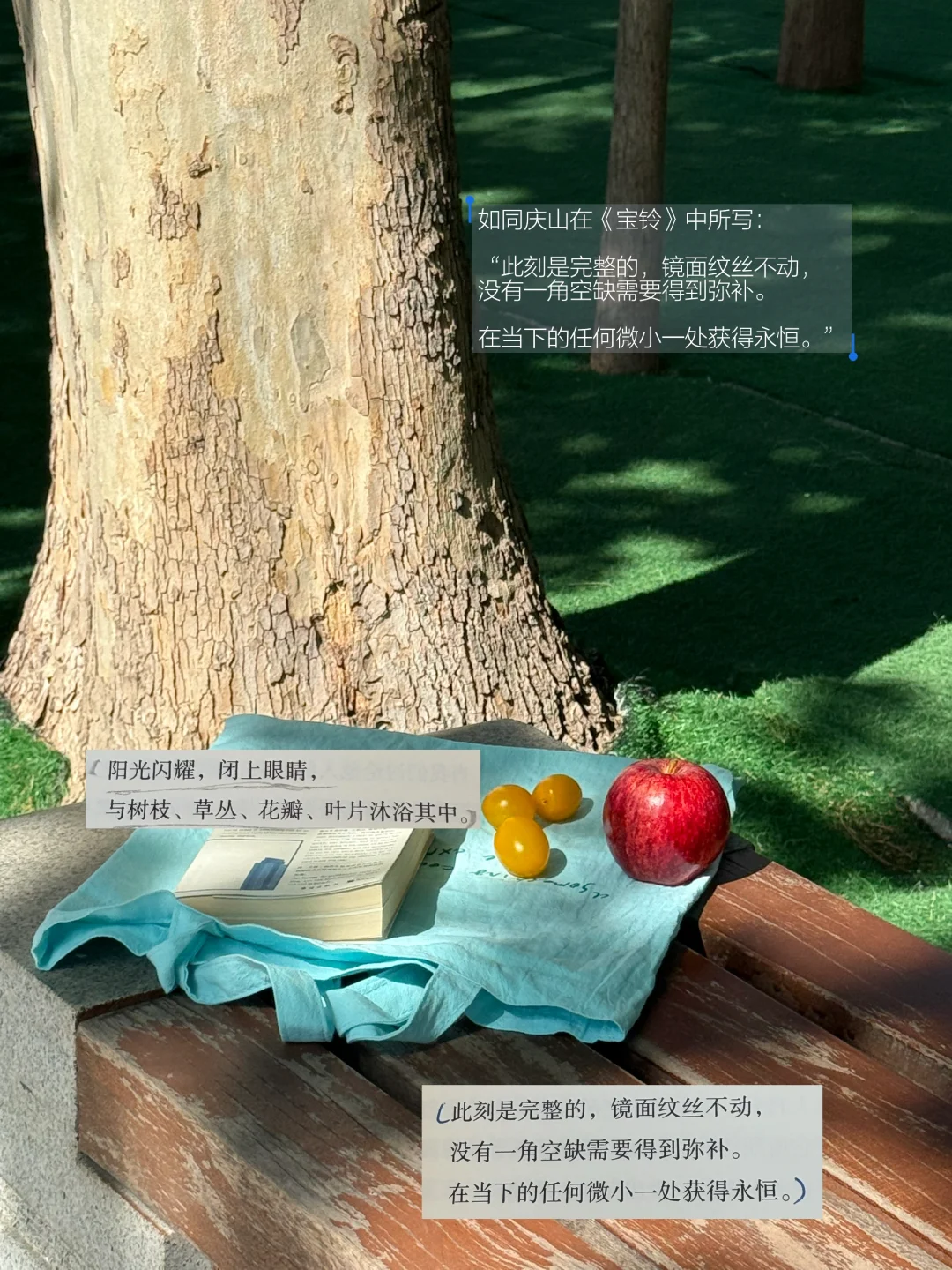 早起是为了享受阅读和咖啡。