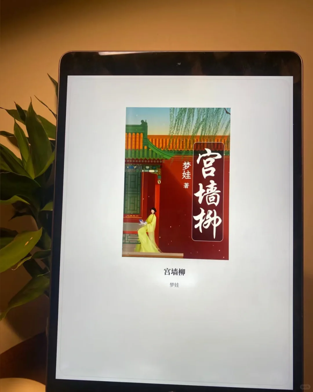 小红书诚不欺我！真·电子书自由达成💥