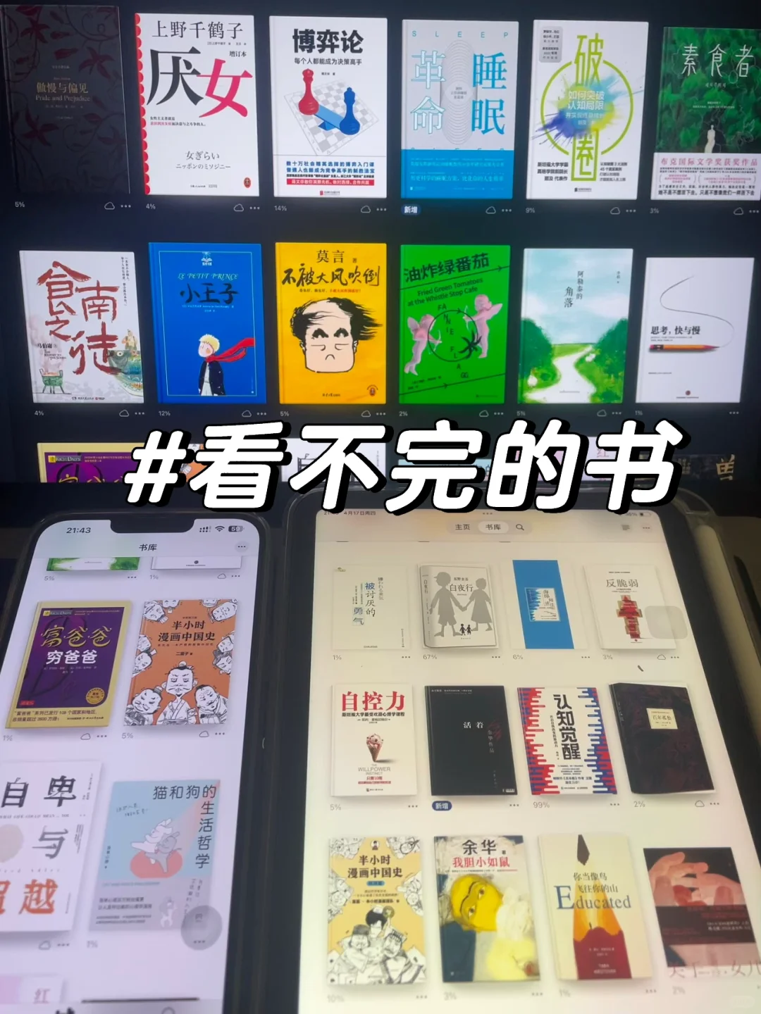 2025年电子书自由目标已达成！