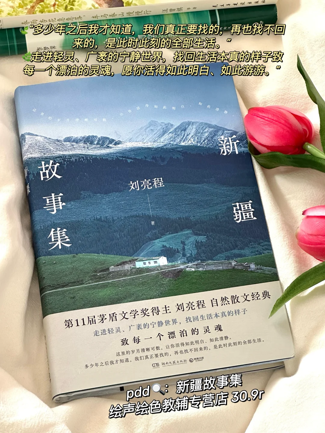 私藏治愈书单🌿每一本我都太太太爱啦！