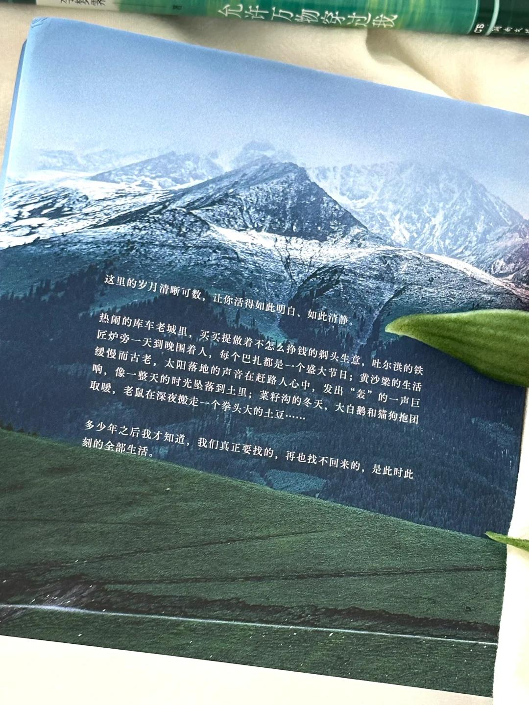 私藏治愈书单🌿每一本我都太太太爱啦！