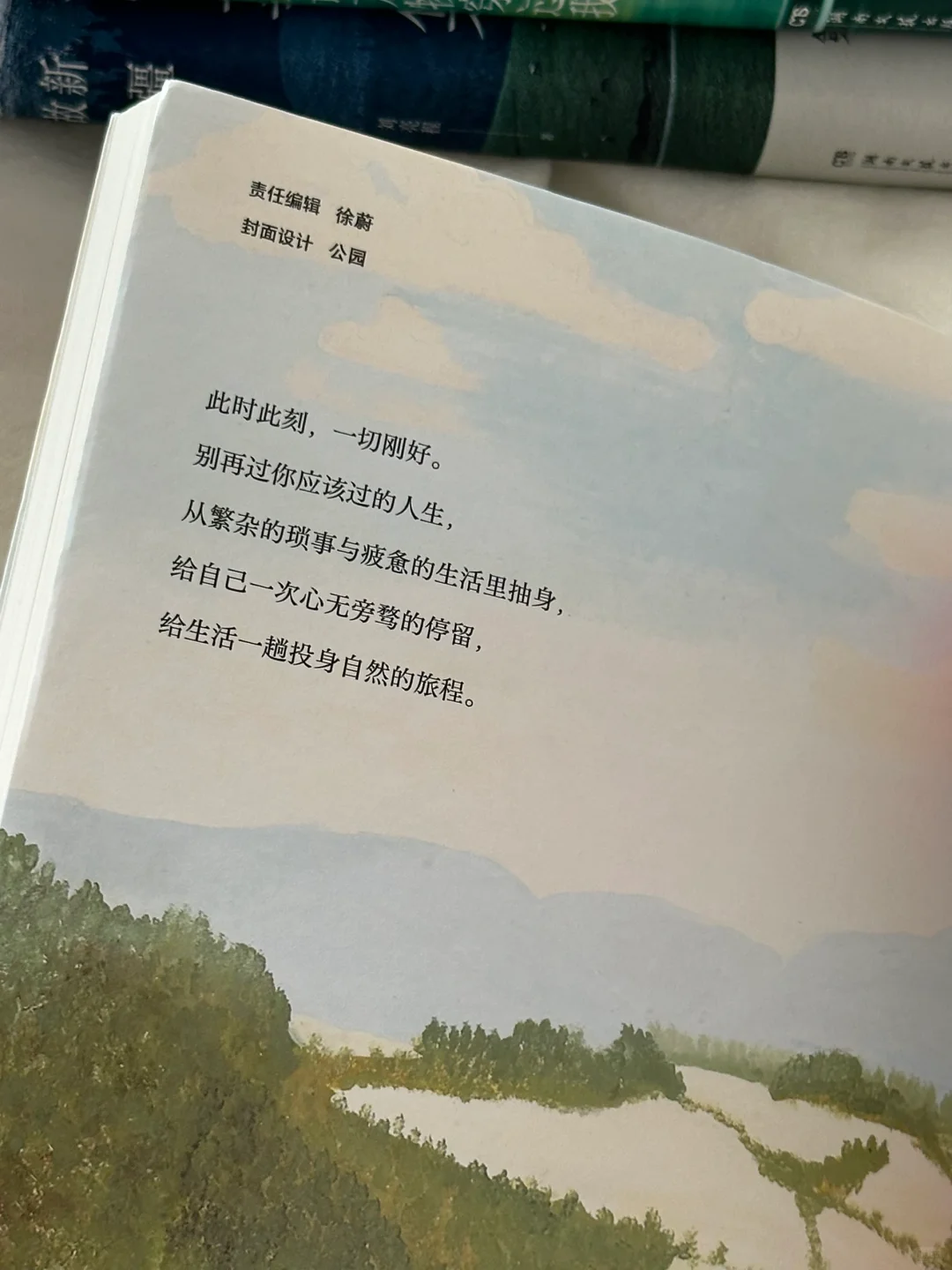私藏治愈书单🌿每一本我都太太太爱啦！