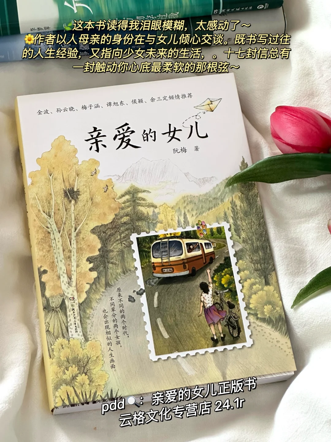 私藏治愈书单🌿每一本我都太太太爱啦！