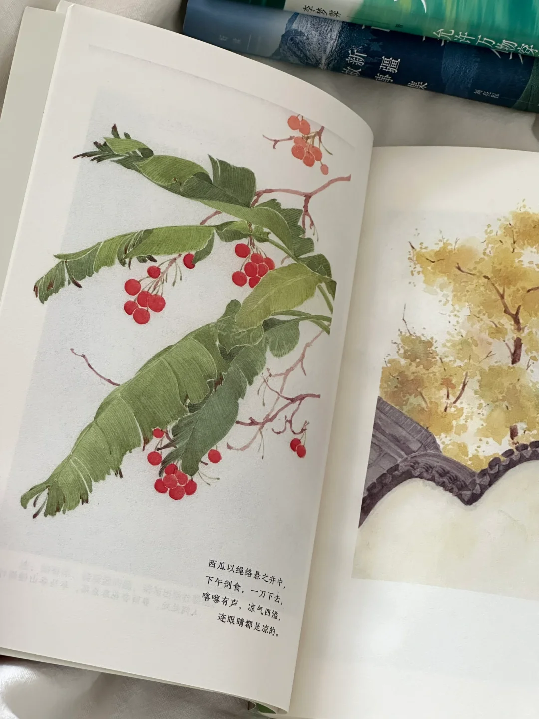私藏治愈书单🌿每一本我都太太太爱啦！