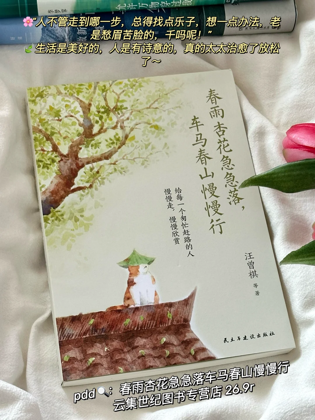 私藏治愈书单🌿每一本我都太太太爱啦！