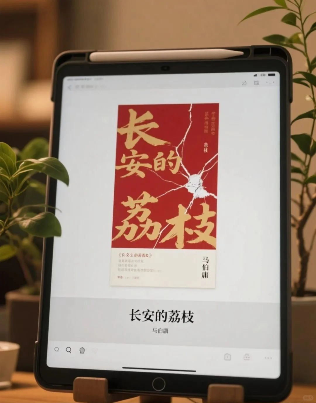 小红书诚不欺我！真·电子书自由达成💥