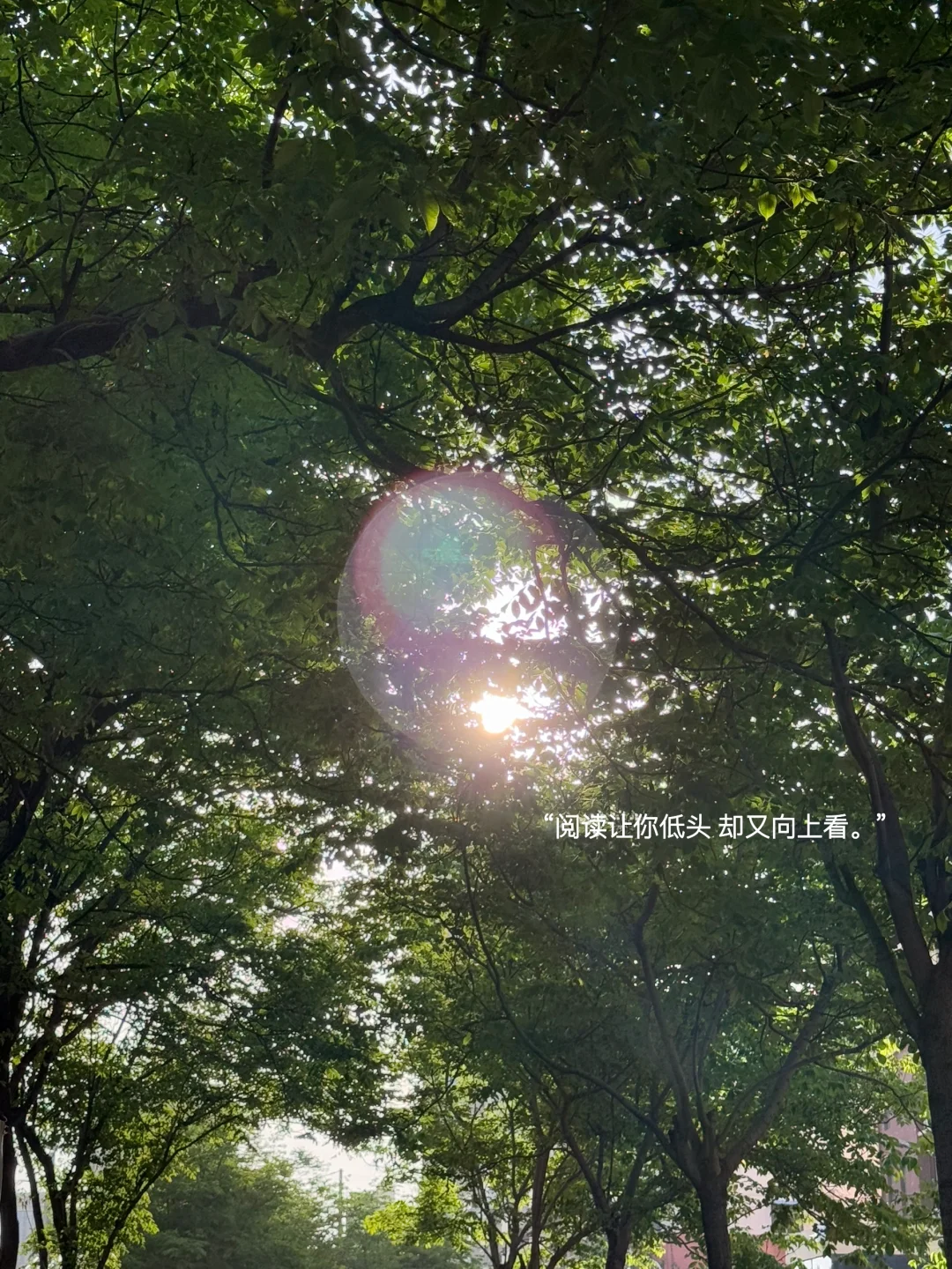 “我又爱上了独处，重新爱上了阅读和散步”