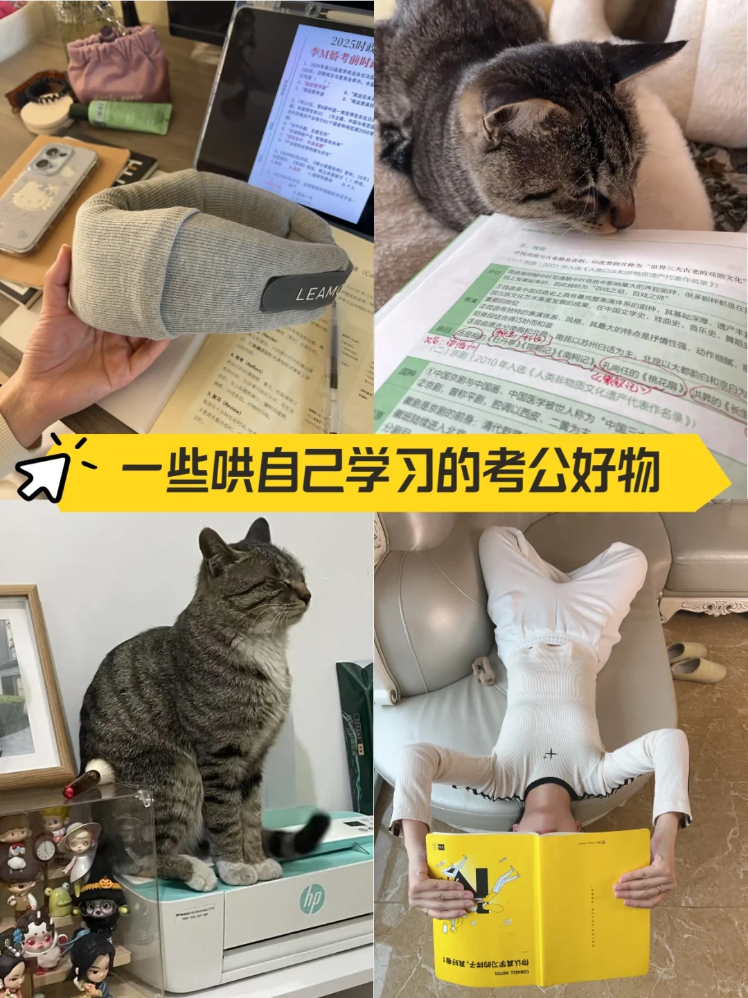 一些哄自己学习的好物分享
