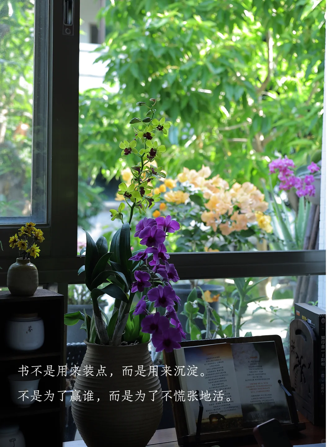 读书，最养人～