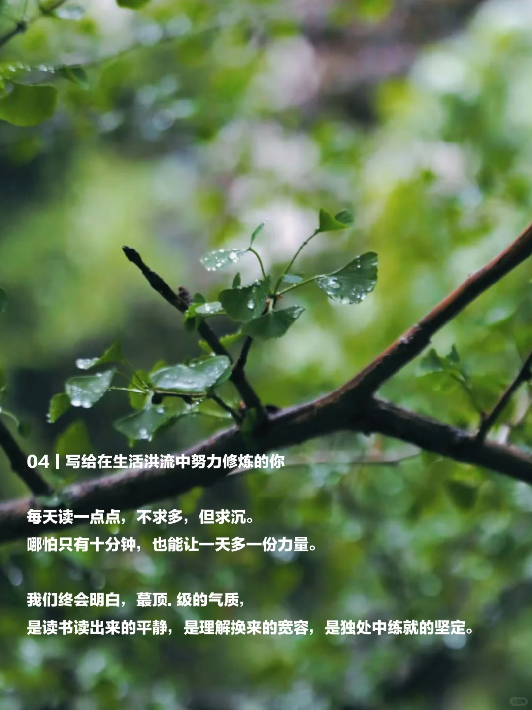 🔥大气是读书读出来的底气，从读书开始！！！