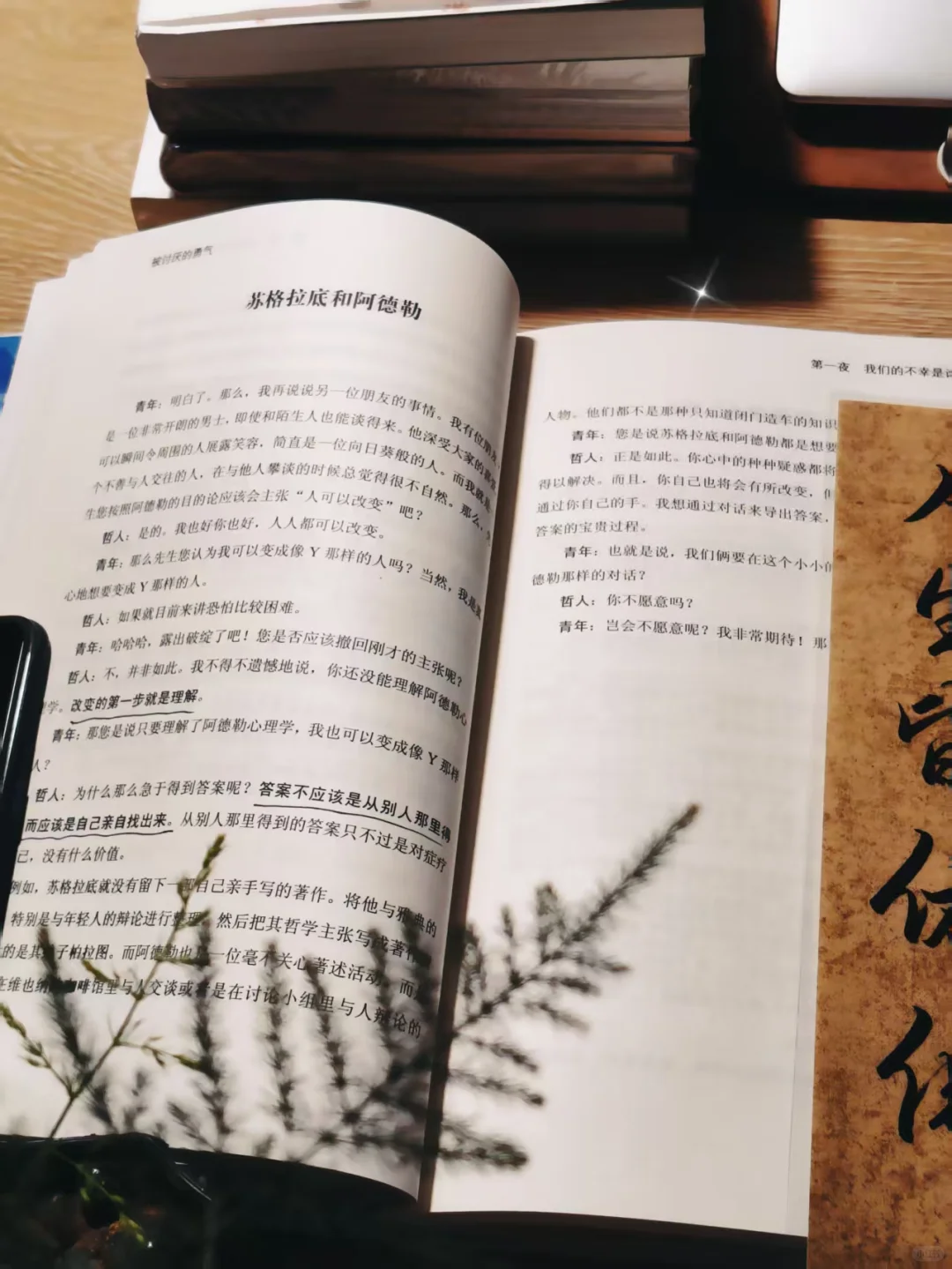 熬夜读完这本书，终于明了被讨厌才是自由