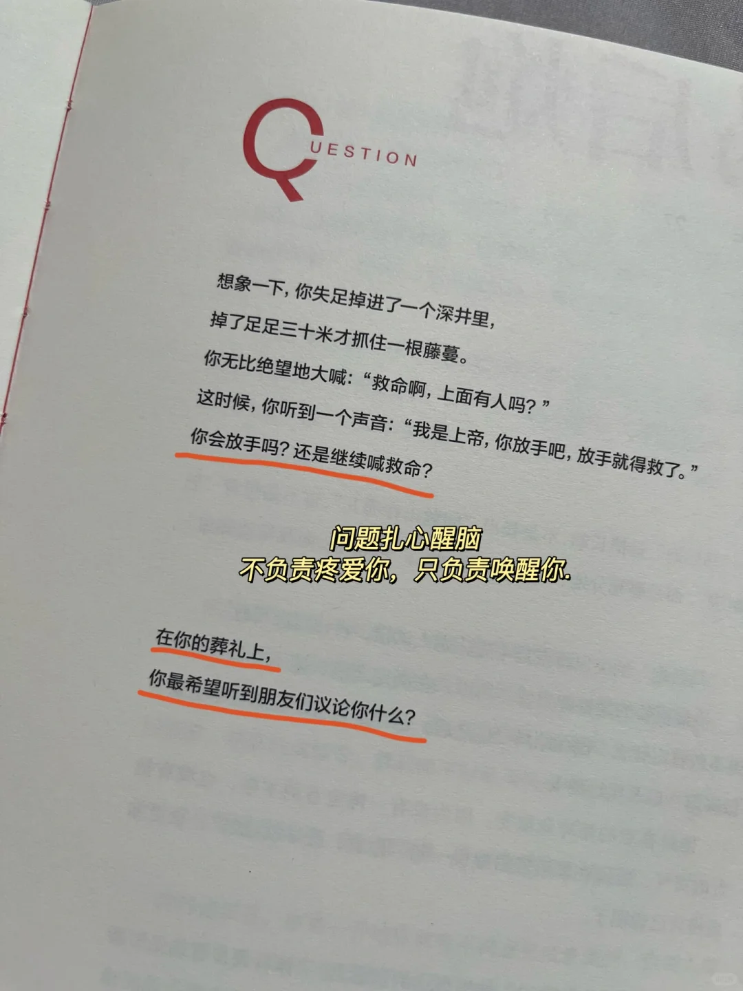 救命🆘啊我被这个作者骂的好爽