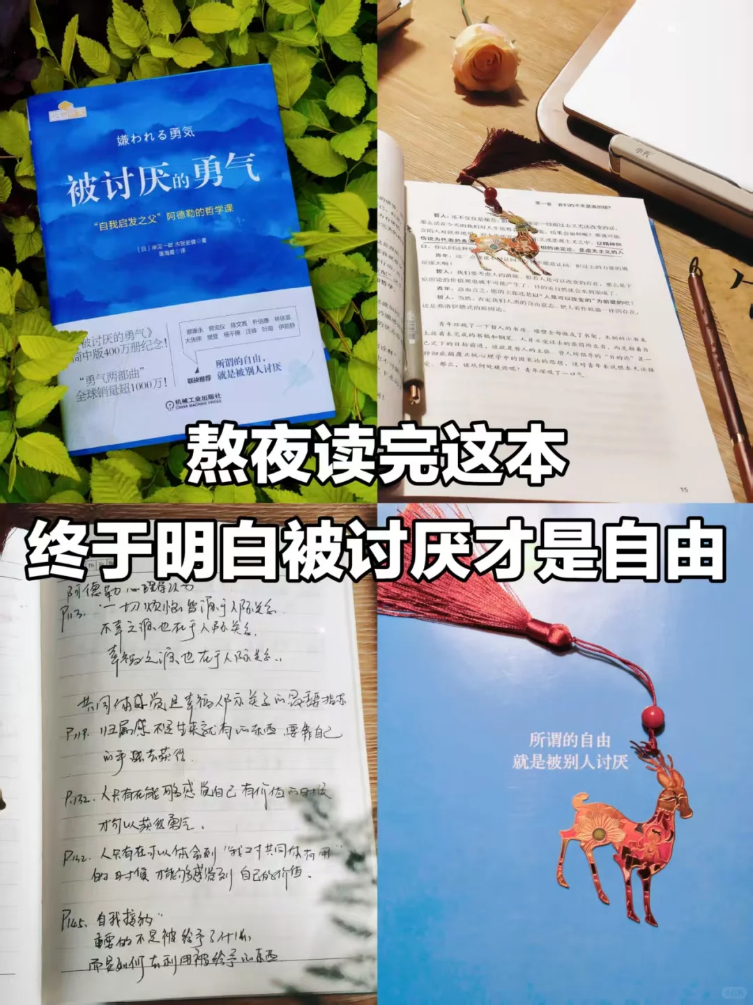 熬夜读完这本书，终于明了被讨厌才是自由