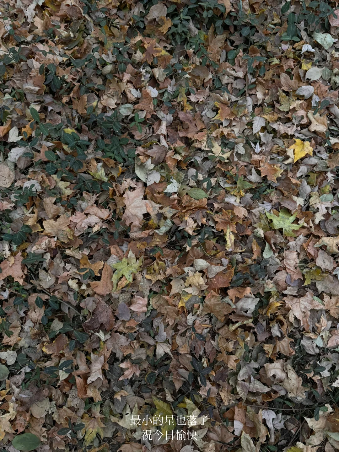 不同场景下我们一起读书