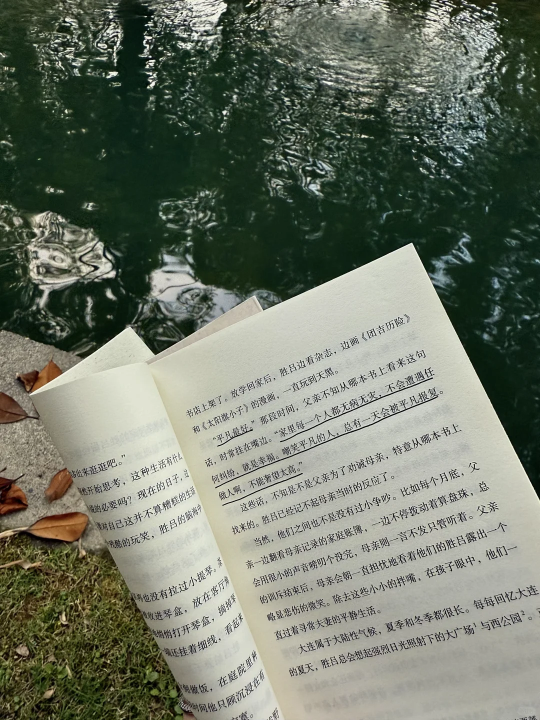 带了书和咖啡去公园，一直坐到太阳落山