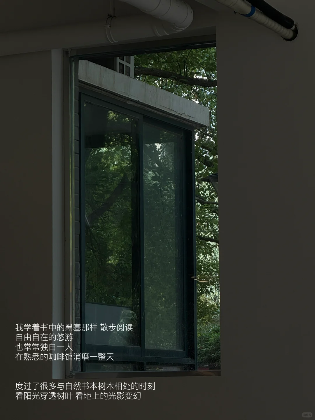 “我又爱上了独处，重新爱上了阅读和散步”