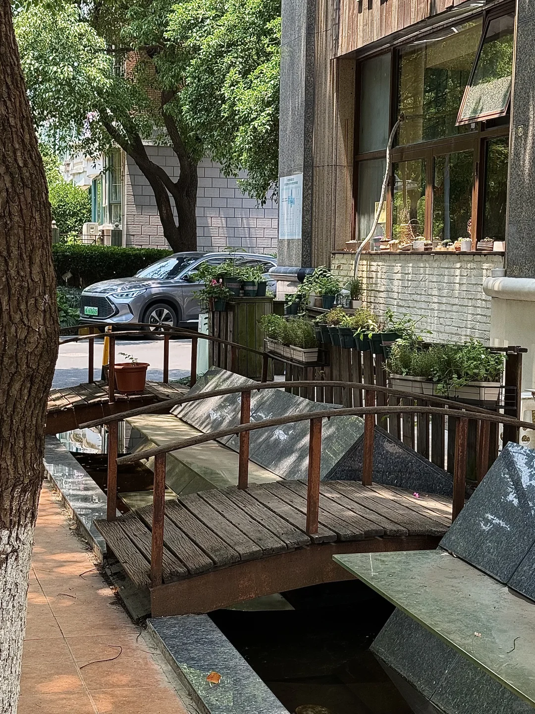 我不停地读书，只是为了理解自己的痛苦