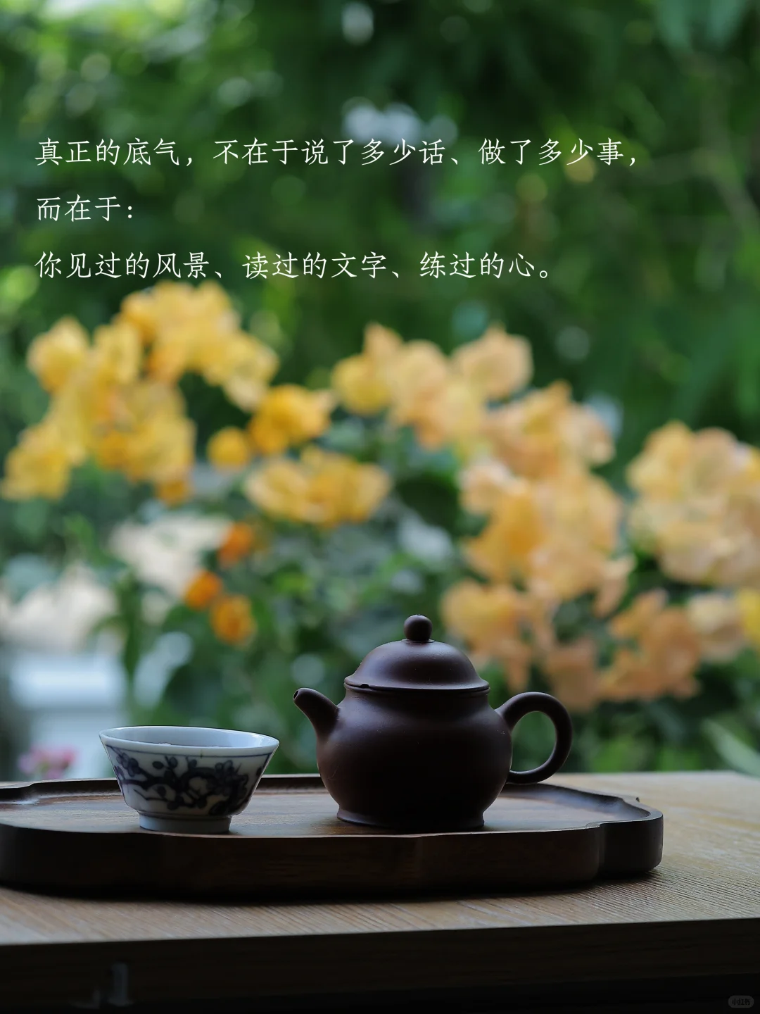 读书，最养人～