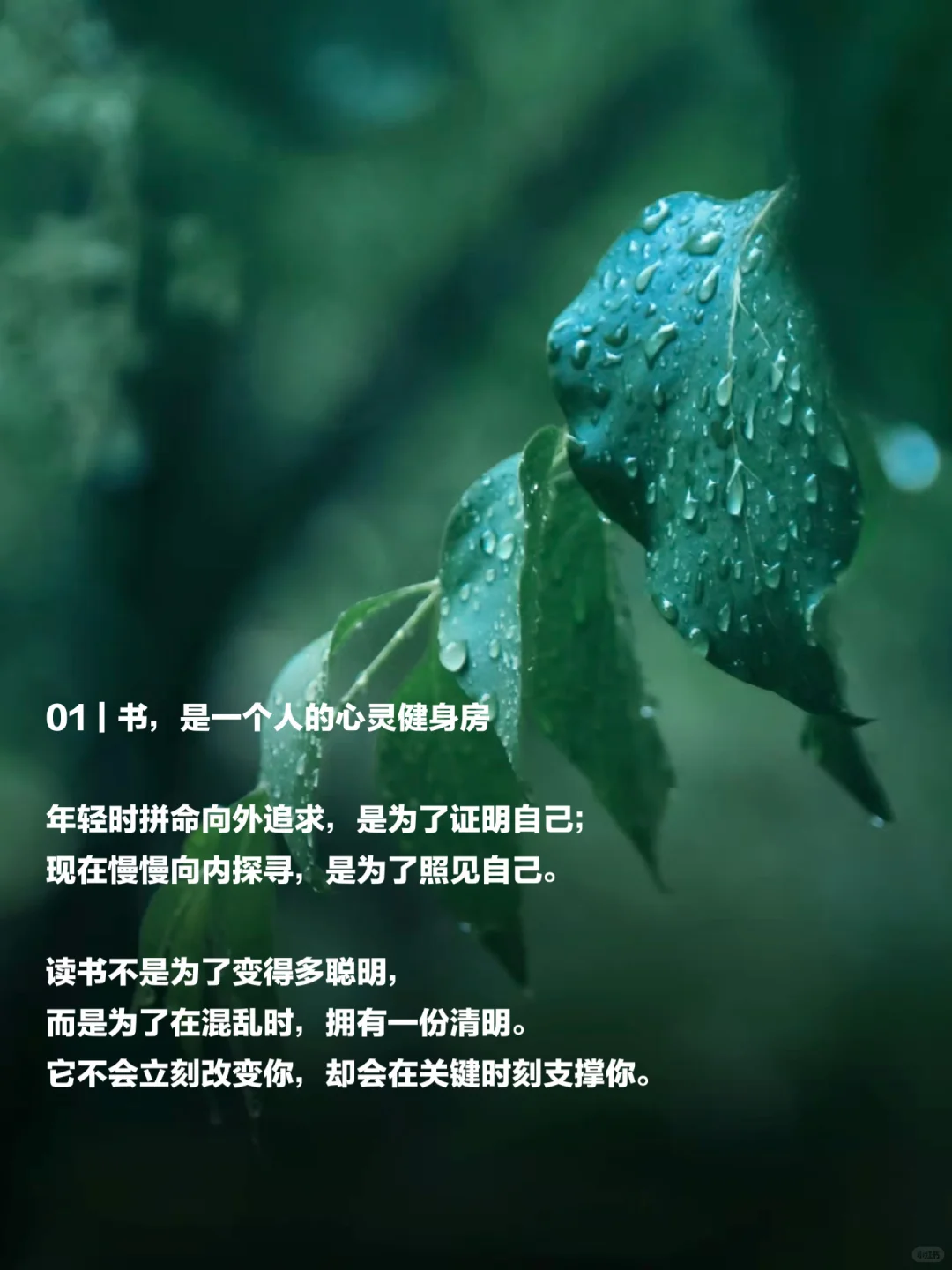 🔥大气是读书读出来的底气，从读书开始！！！