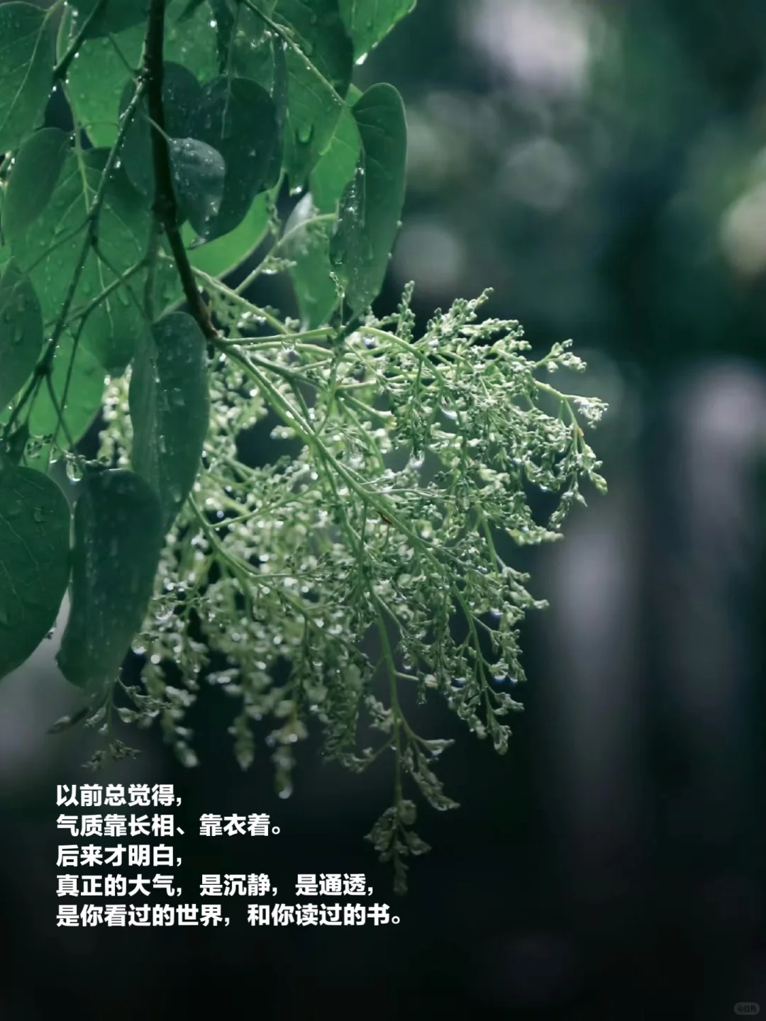 🔥大气是读书读出来的底气，从读书开始！！！