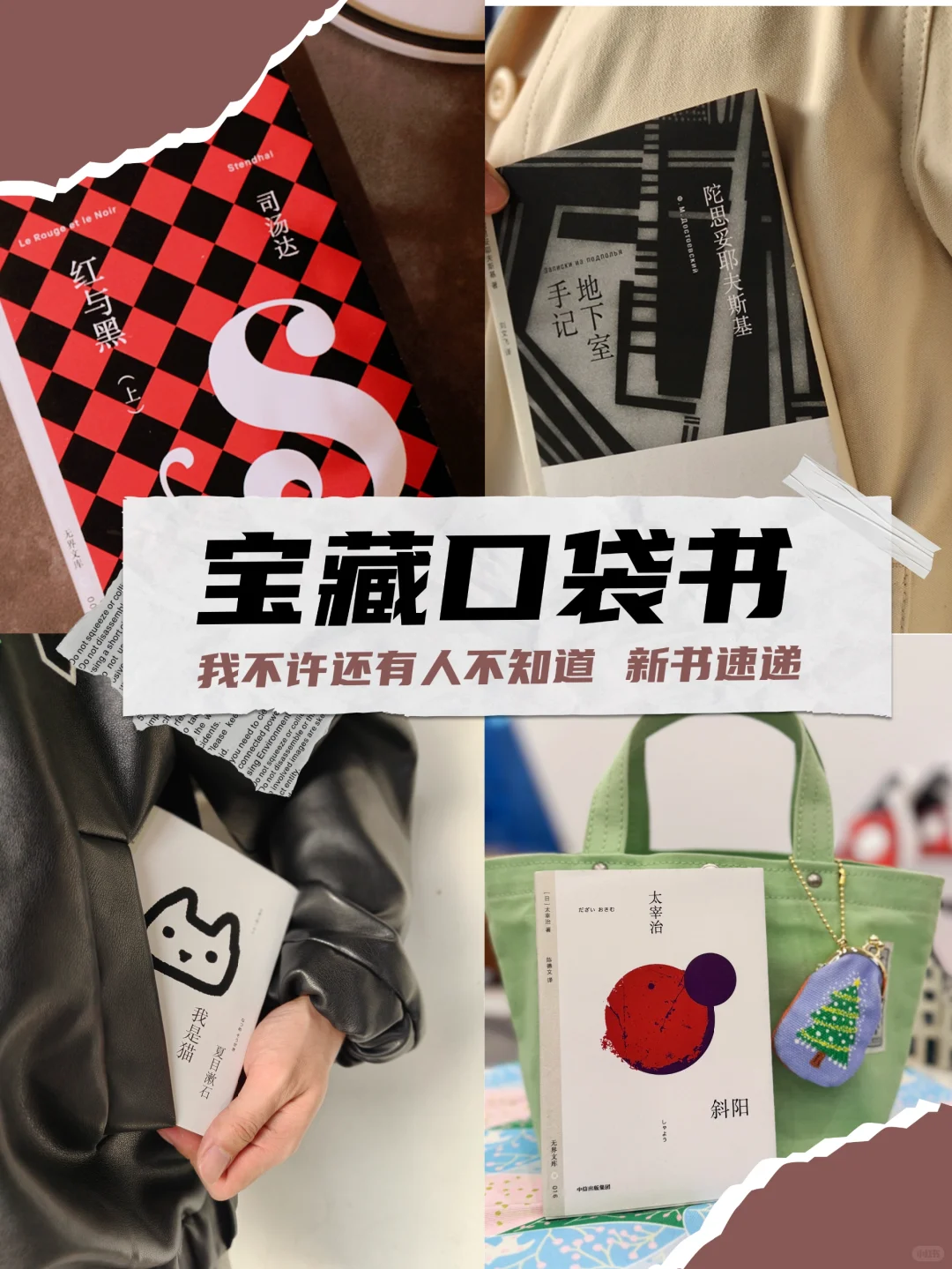 🌷请查收你的宝藏口袋书单！✨