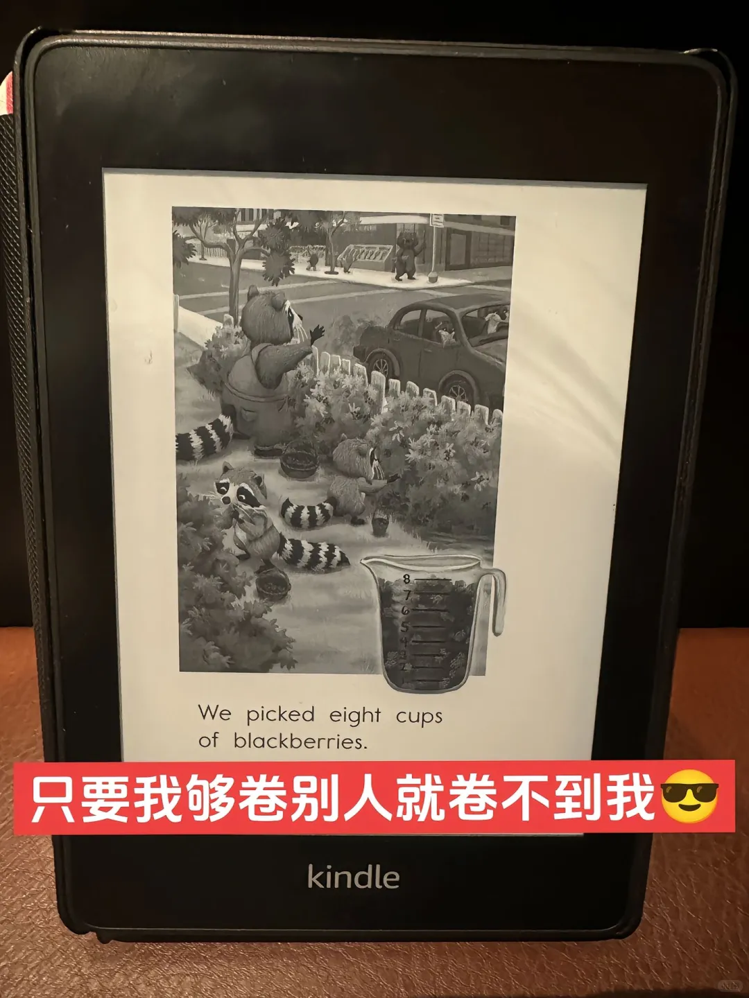 闲置Kindle📚2500本Raz随娃刷