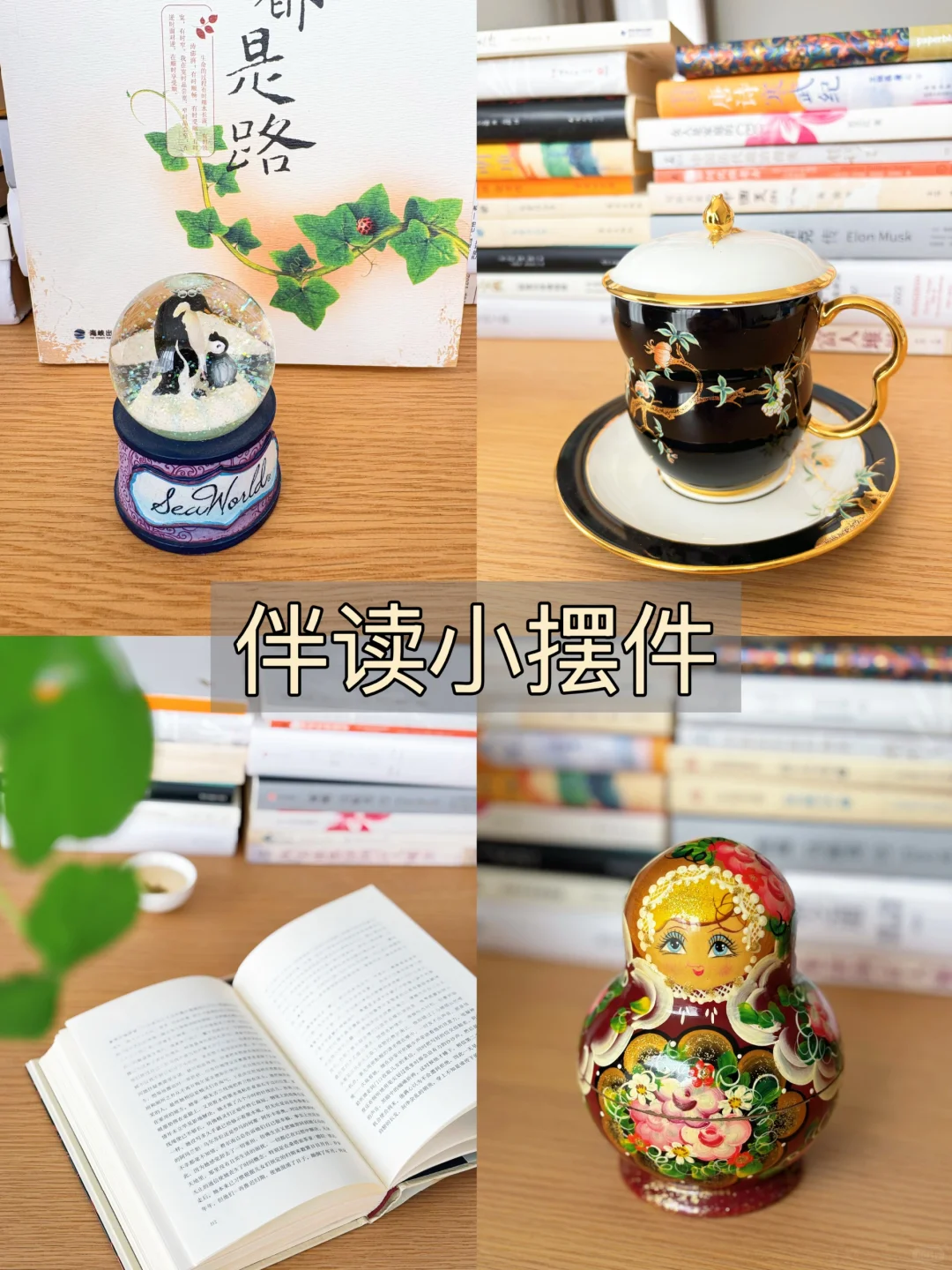 2025年春，做读书博主的第1天！