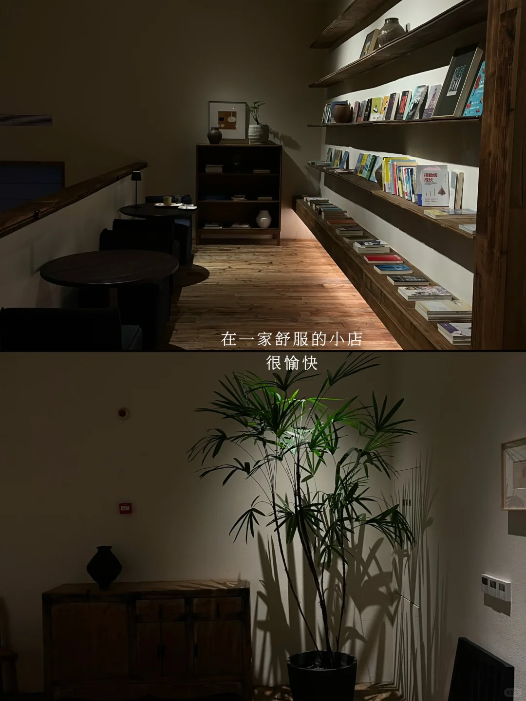阅读日记|当世界只剩下我。