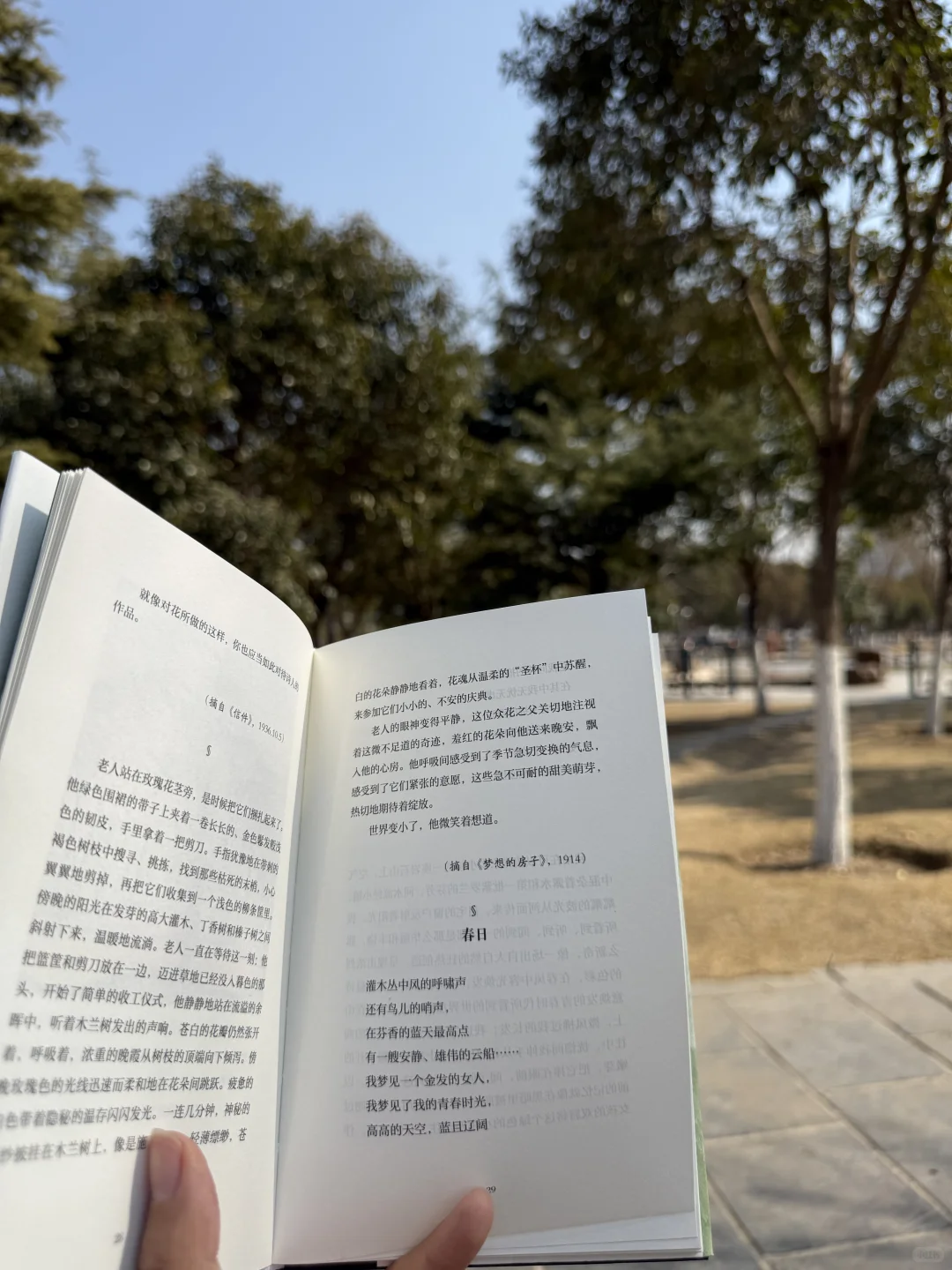 我的解压方式：散步 阅读 晒太阳 不联系