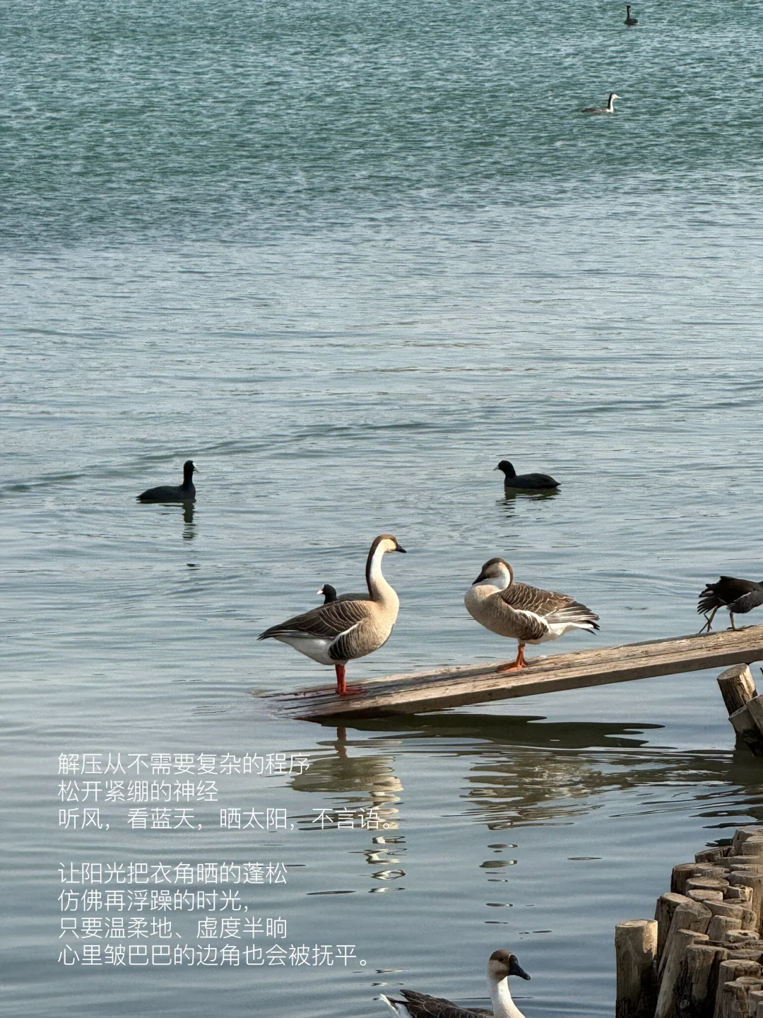 我的解压方式：散步 阅读 晒太阳 不联系