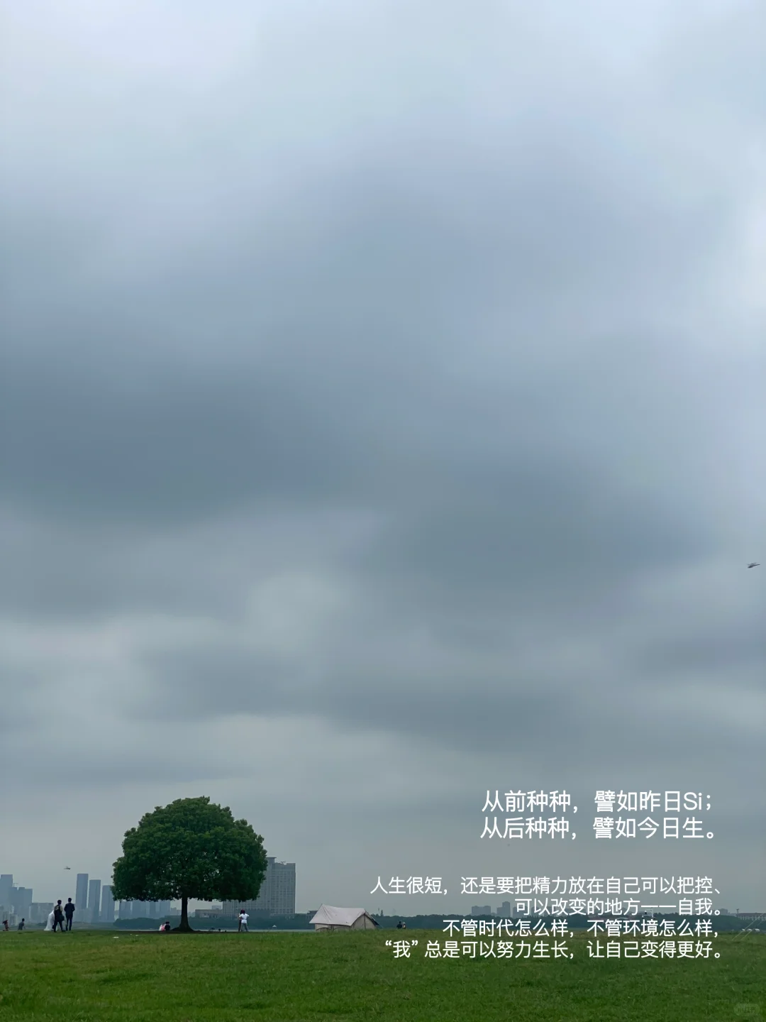 我发现长期阅读的人都有一个共性。