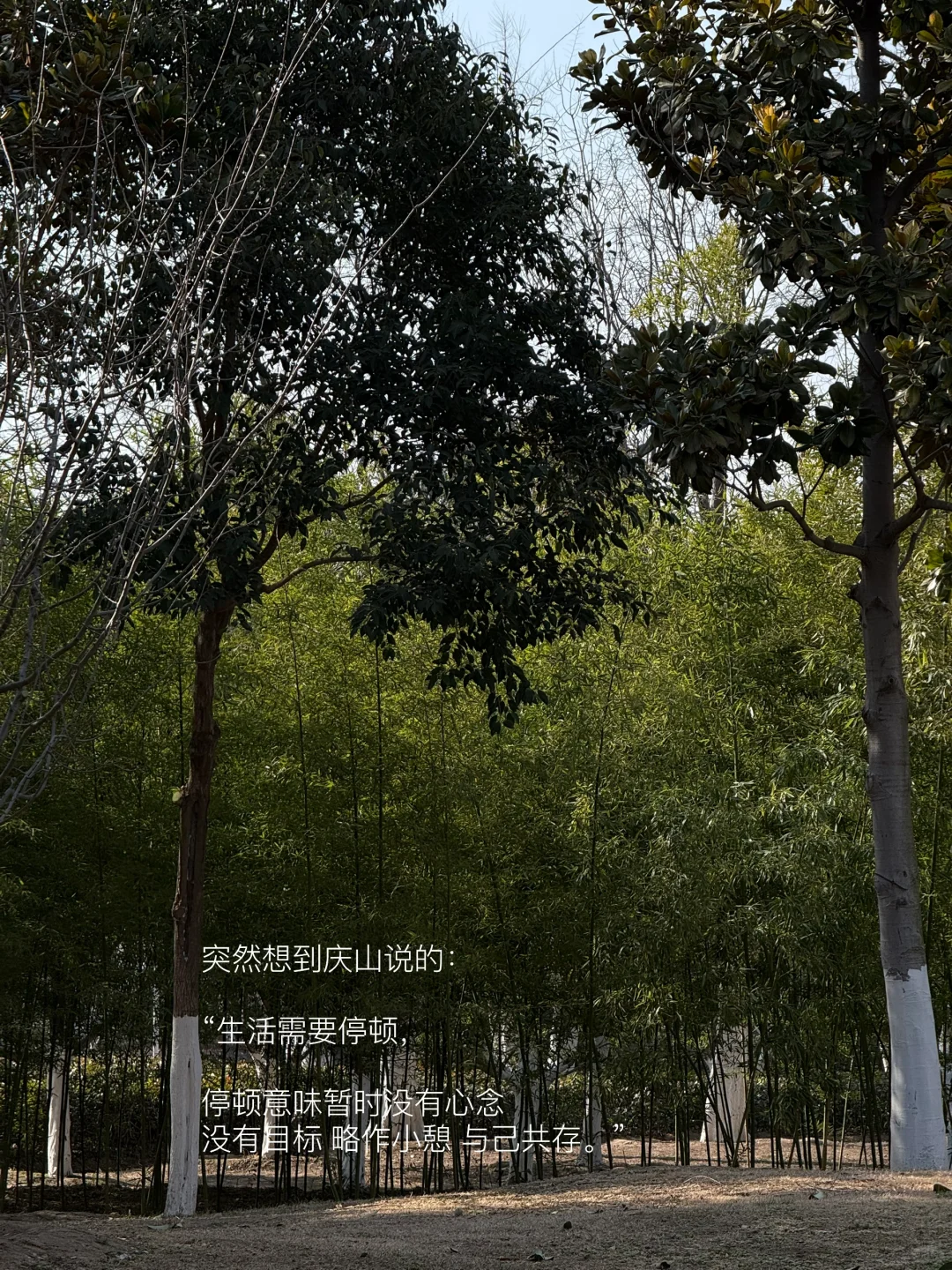 我的解压方式：散步 阅读 晒太阳 不联系