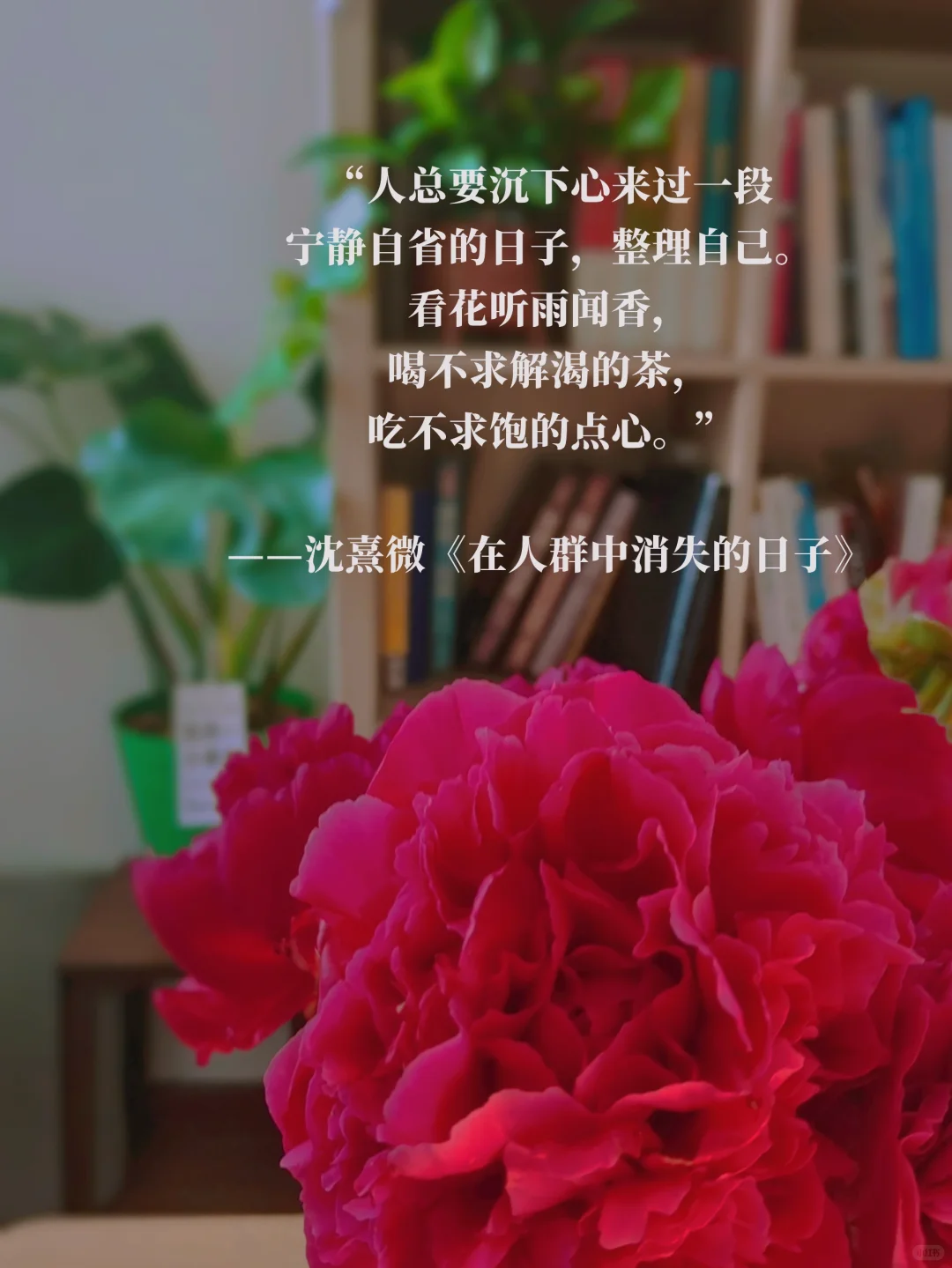我的解压日常: 喝茶，读书，与世界断联