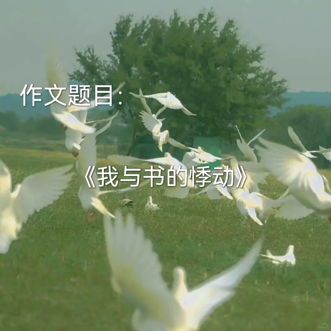 优秀范文|《我与书的悸动》