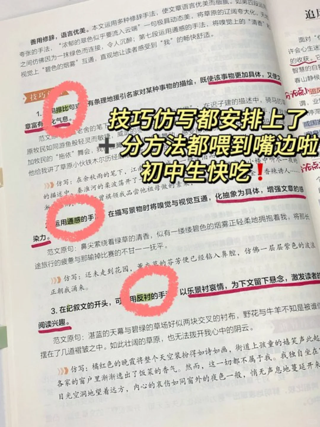 《我是如此地热爱阅读》