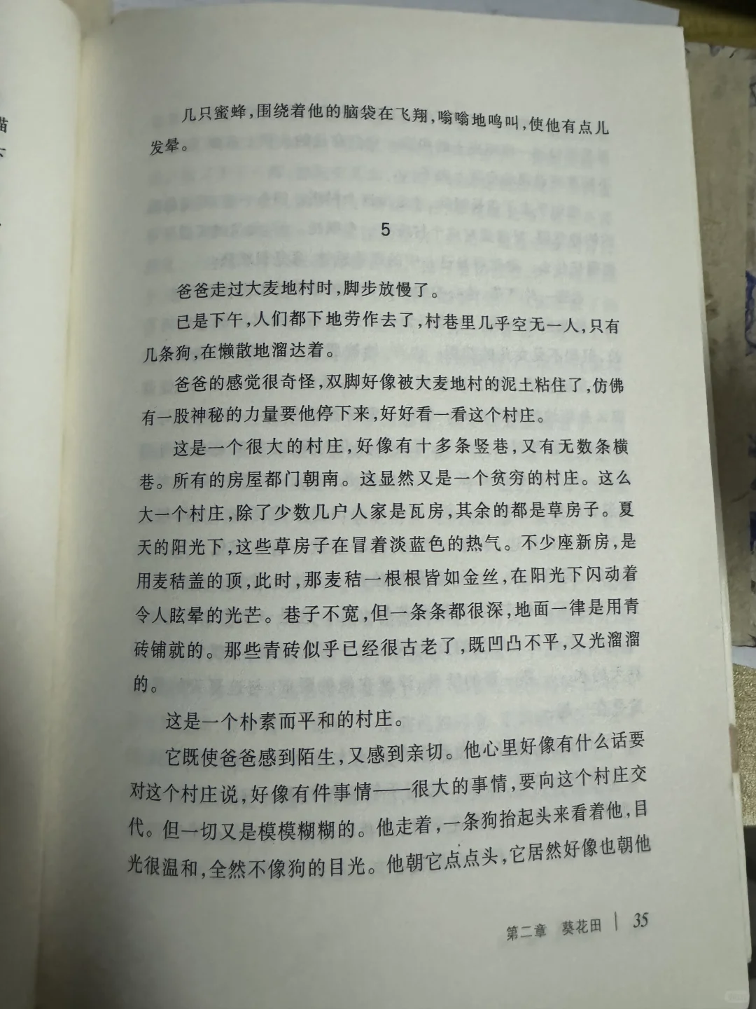 读书打卡day4