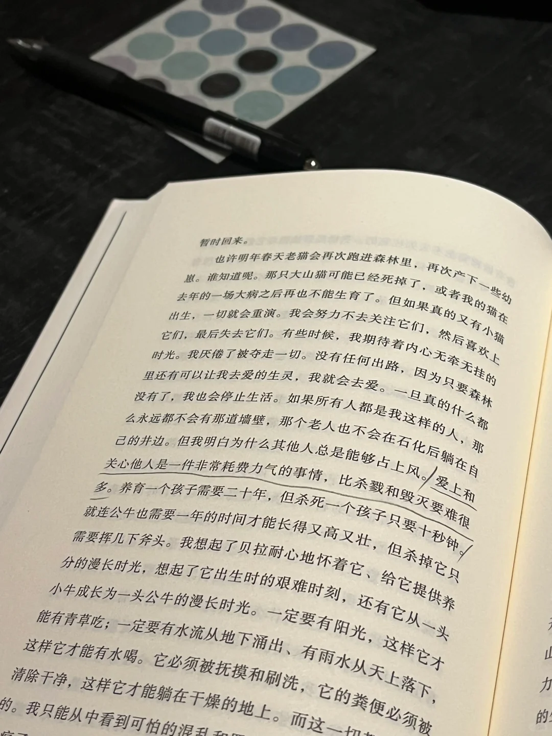 阅读日记|当世界只剩下我。