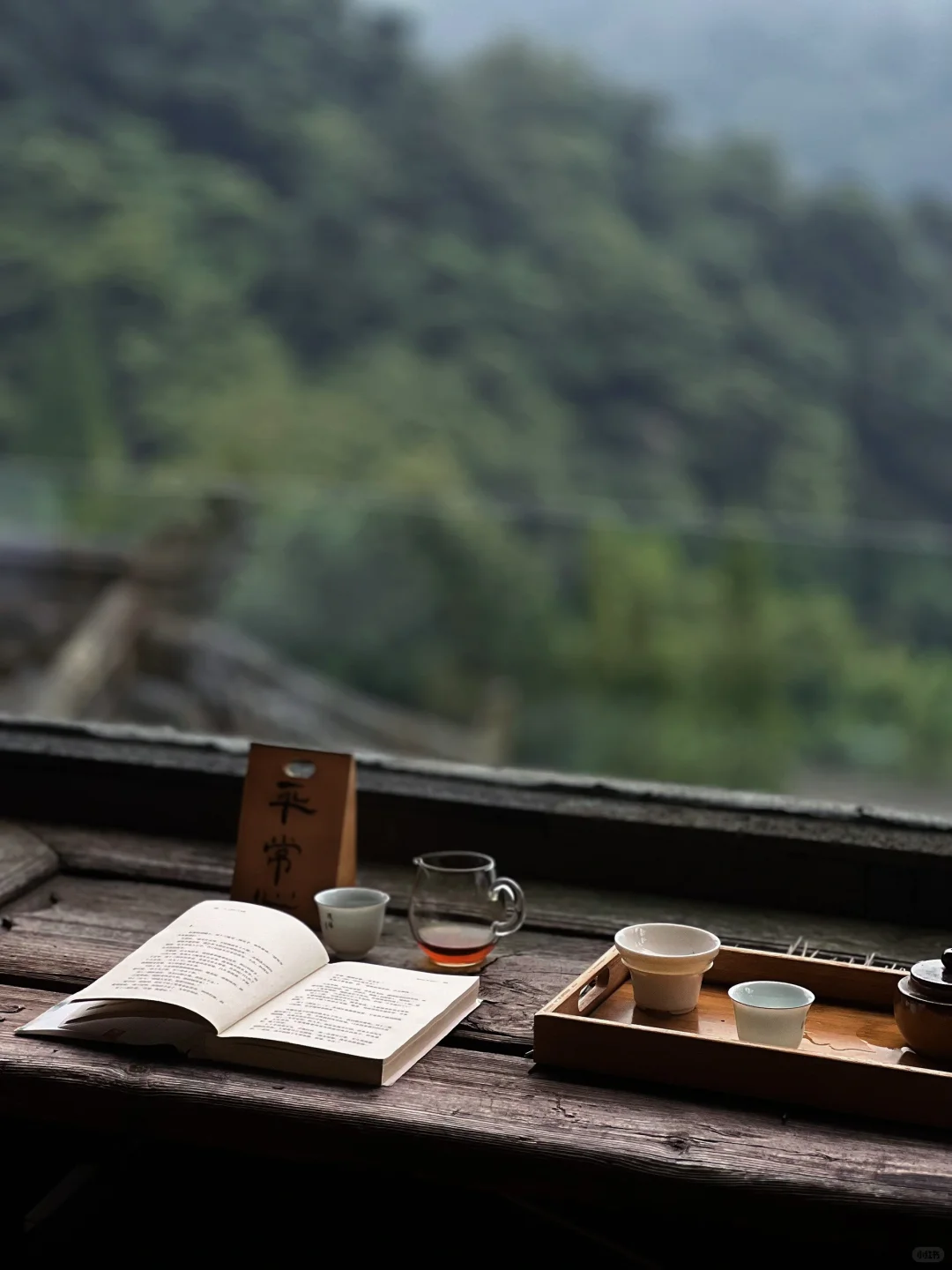 山中一日｜喝茶，看书，听雨