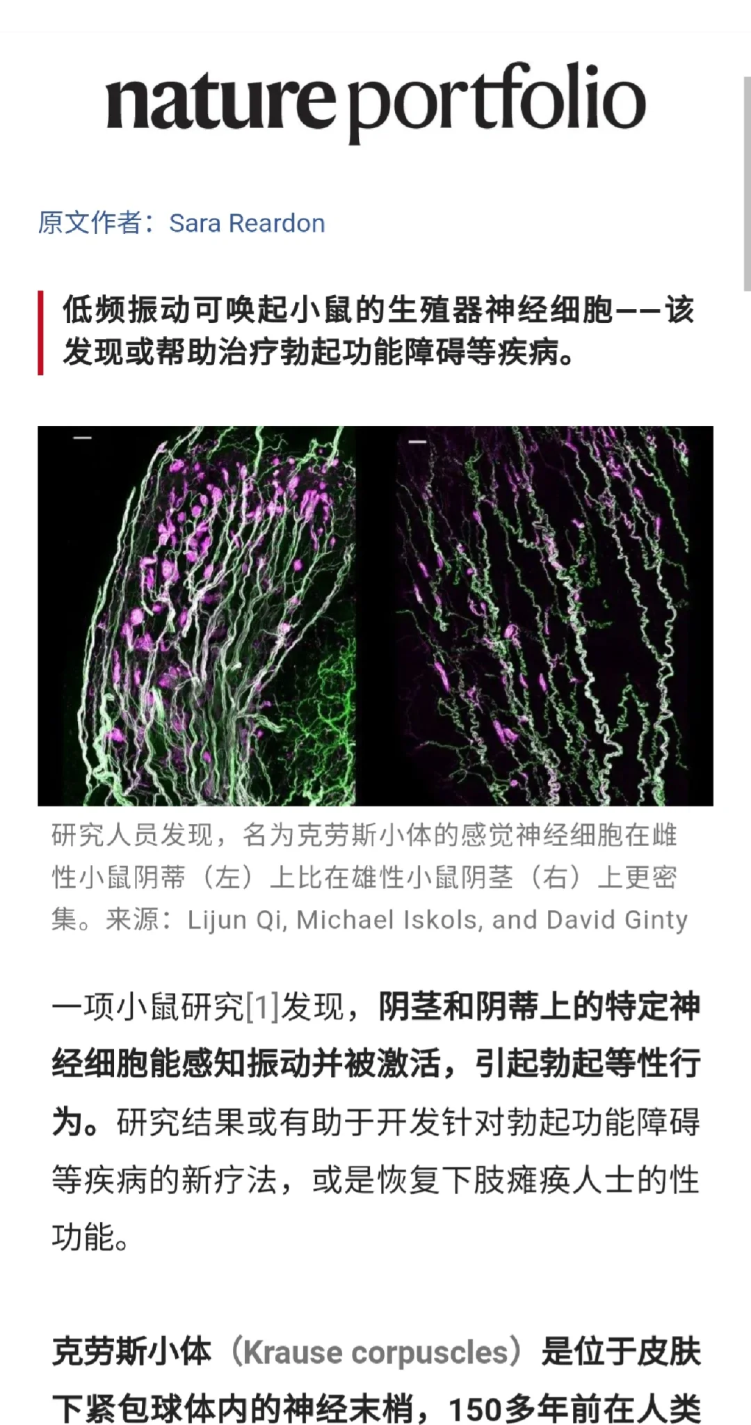 今日深度阅读｜如何理解羞羞的快感