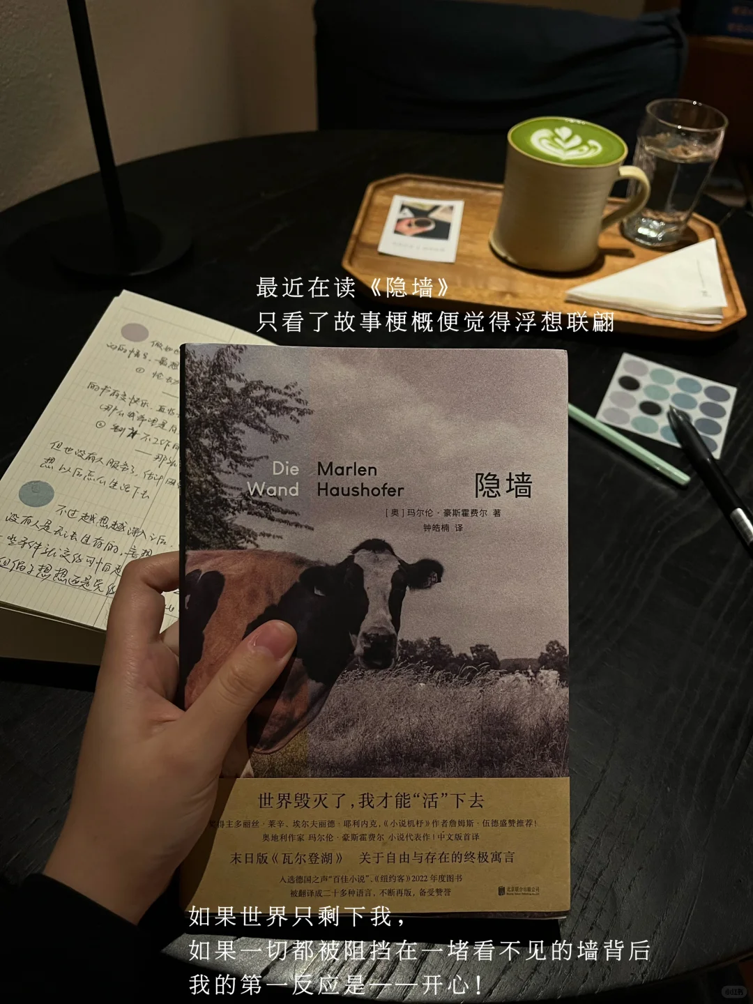 阅读日记|当世界只剩下我。