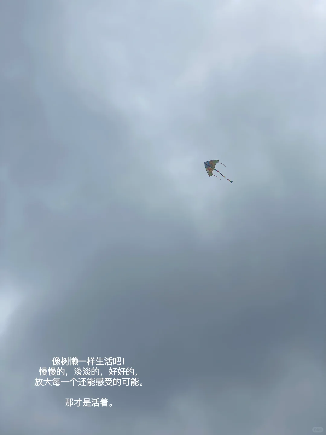 我发现长期阅读的人都有一个共性。