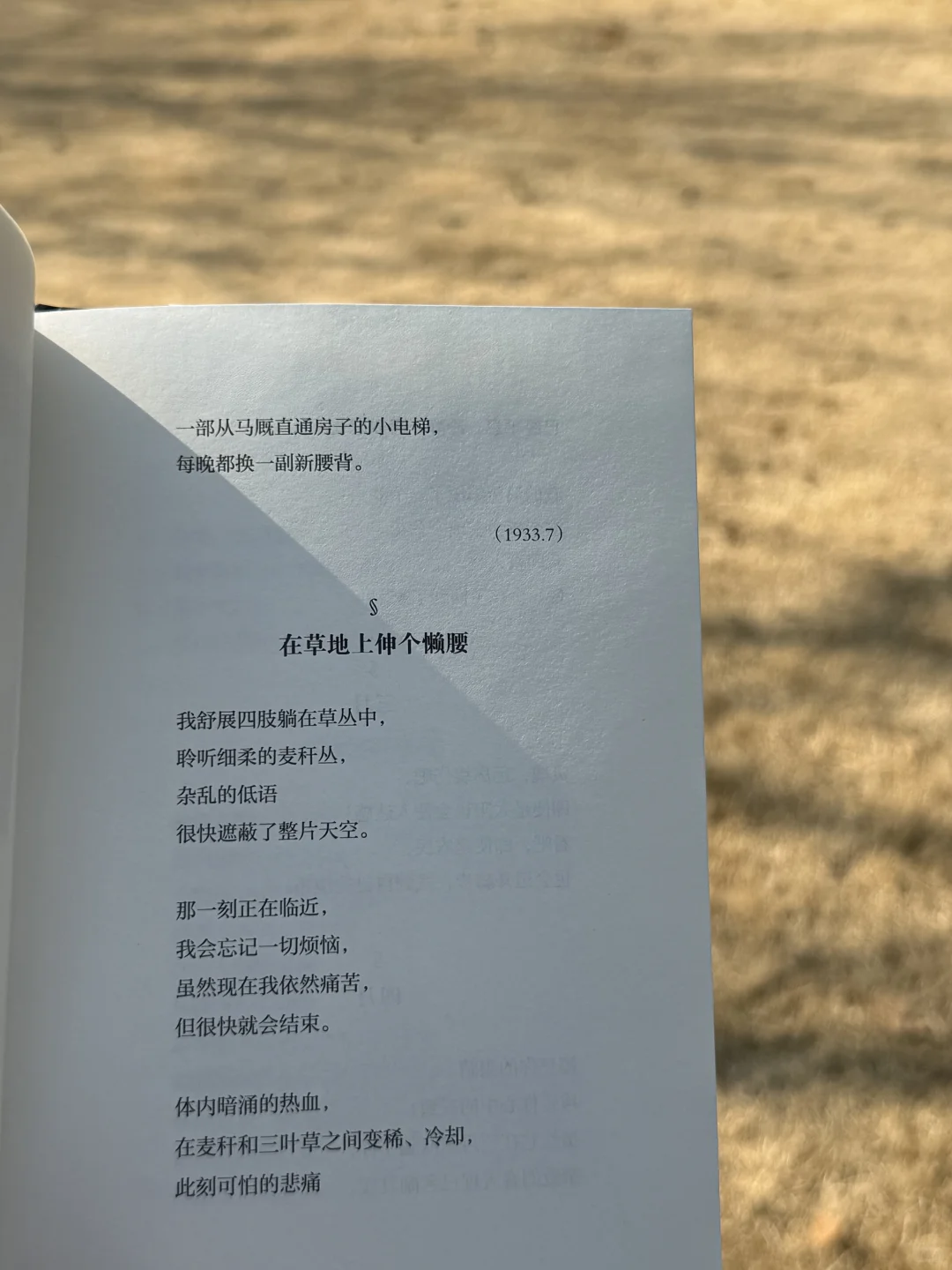 我的解压方式：散步 阅读 晒太阳 不联系