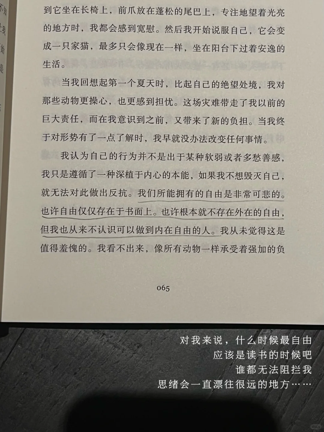 阅读日记|当世界只剩下我。