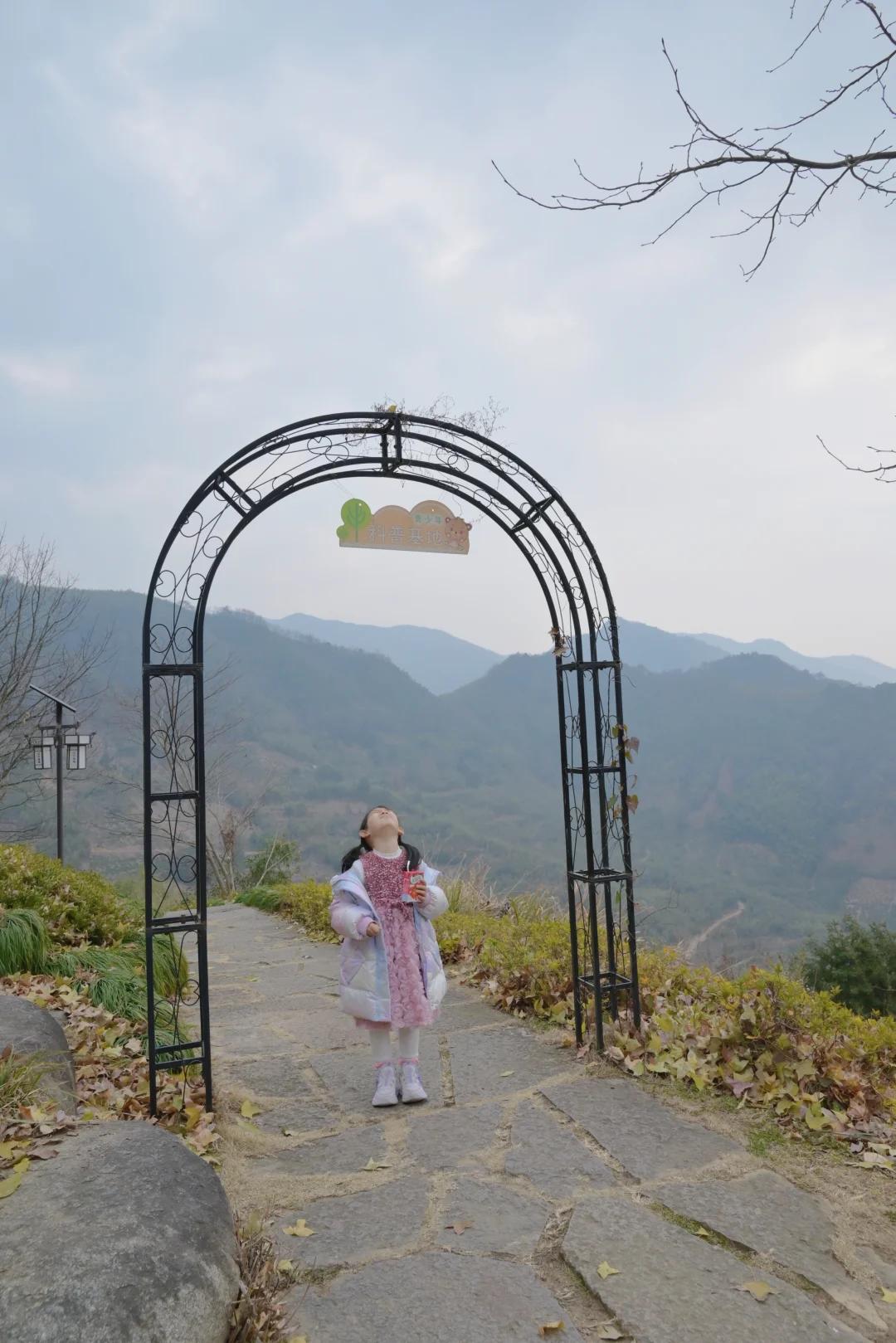 请放下对孩子的阅读要求