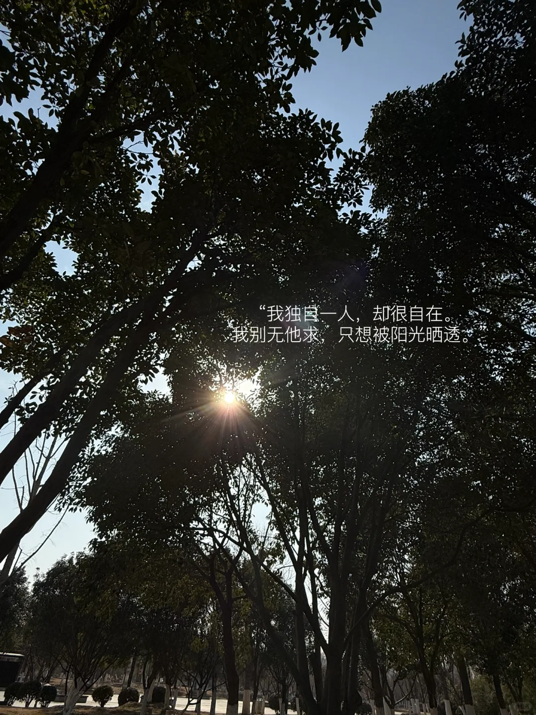 我的解压方式：散步 阅读 晒太阳 不联系