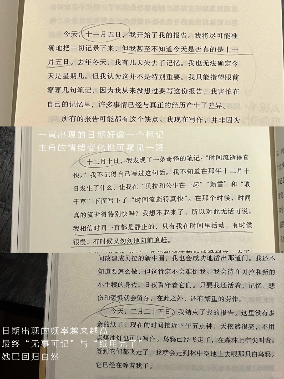 阅读日记|当世界只剩下我。