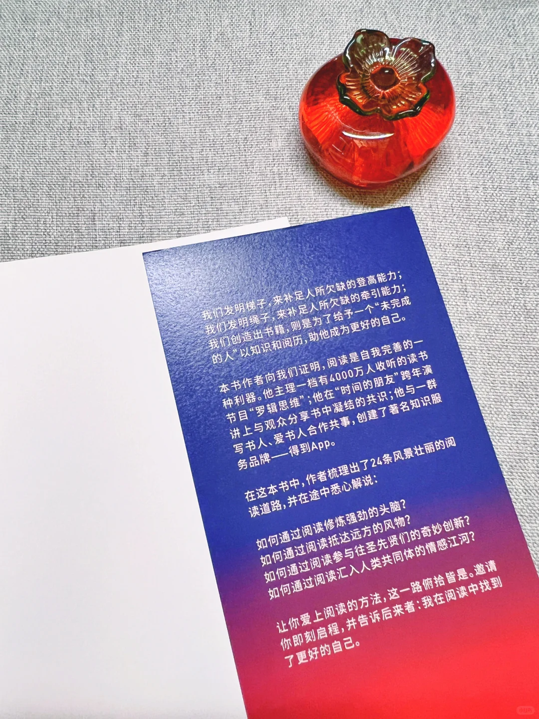 阅读的方法：读书应当是一种乐趣，而非负担。