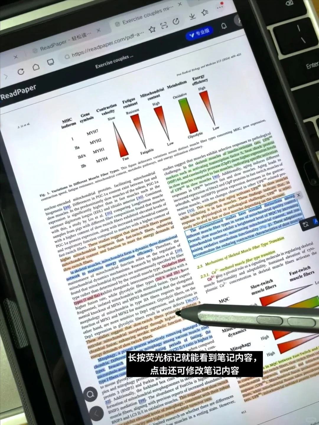 ReadPaper—姐怎么才发现这个文献阅读神器❗️