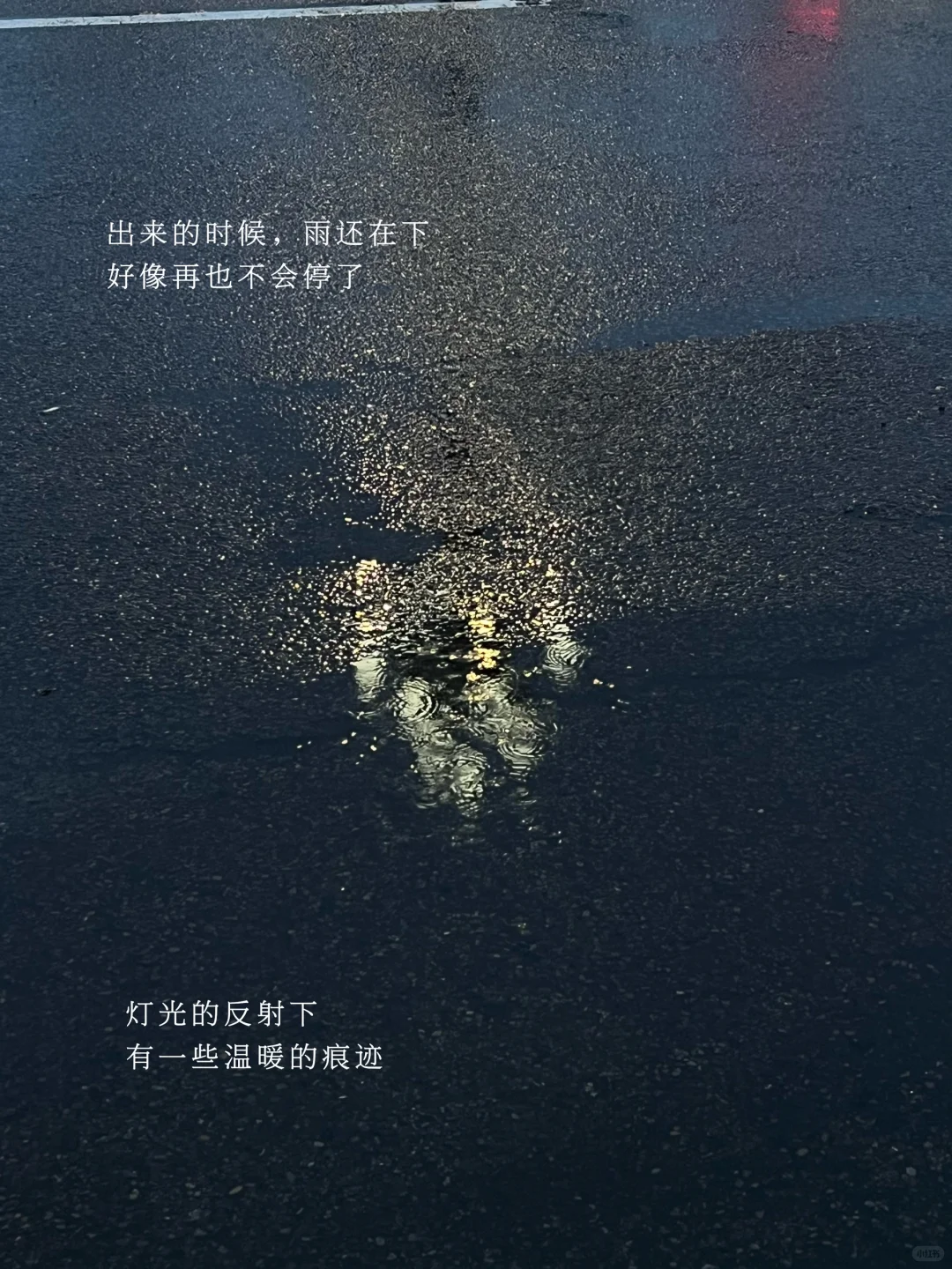 阅读日记|当世界只剩下我。