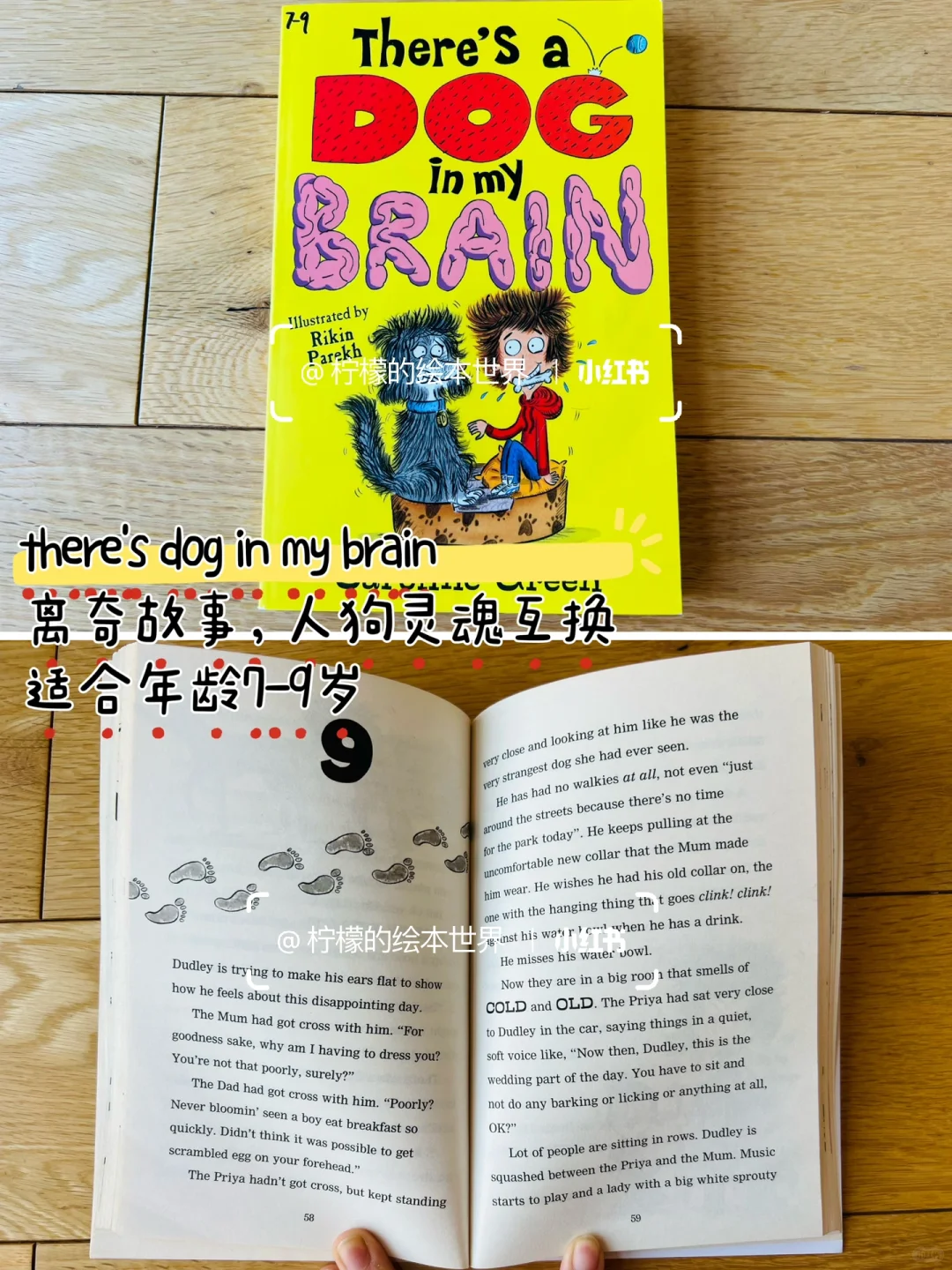 RAZ N平行拓展阅读，还有哪些书可以看？